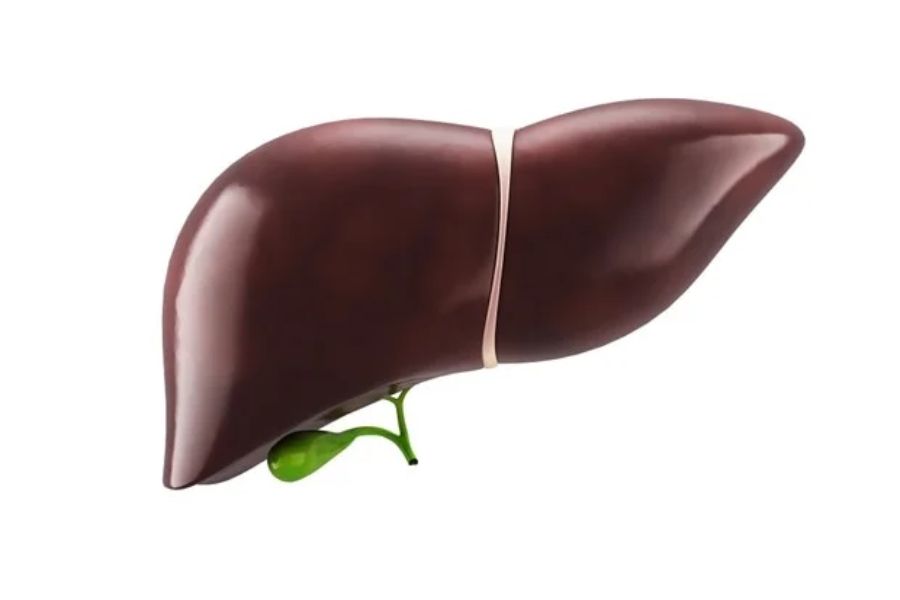 Liver Disorder